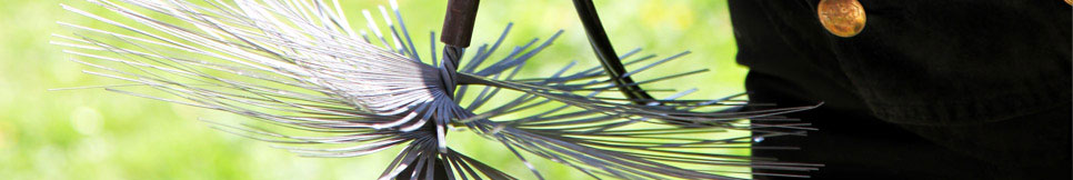 Banner - Thomas Wilbers